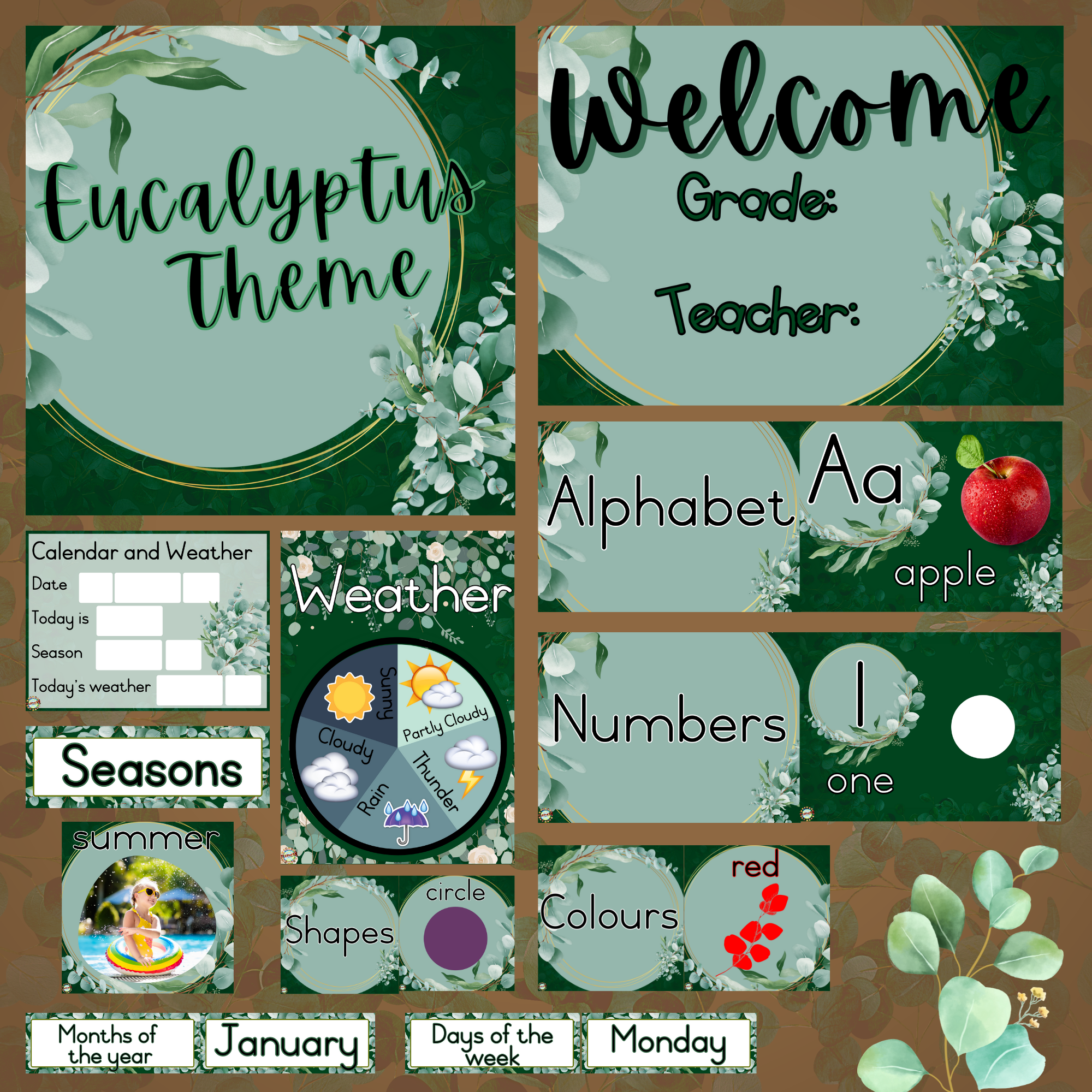 Eucalyptus Layout