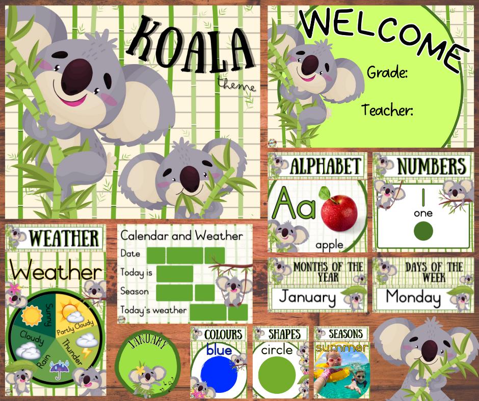 Koala (1)